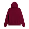 The North Face W EVOLUTION SIMPLE DOME REGULAR HOODIE Kadın Sweatshirt NF0A8CWNMVO1