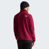 The North Face W GLACIER FLEECE 1/4 ZIP JACKET Kadın Ceket NF0A8D2JMVO1