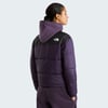 The North Face W NUKETO SYNTH INS JACKET Kadın Ceket NF0A8J44GJI1