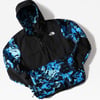 The Northface DENALI 2 ANORAK NF0A4QYNV171
