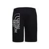 The Northface Erkek GRAPHIC Şort LIGHT-EU NF0A3S4FJK31