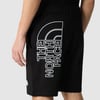 The Northface Erkek GRAPHIC Şort LIGHT-EU NF0A3S4FJK31
