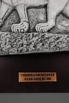 Karkamış Khimera Ortostat Replikası