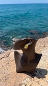 Çelik Gold Sarmal Küpe