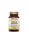 Shiffa Home Tribulus Terrestris 60 Kapsül – Çoban Çökerten