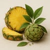 Ananas&Yeşil Çay&Enginar Sirkesi/Pineapple&Green Tea&Artichoke Vinegar (Canlı Sirke / 500 mL) 