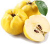 Ekmek Ayvası Sirkesi / Quince Vinegar (Doğal Fermente Canlı Sirke / Naturally Fermented / 500 Ml)
