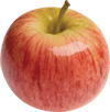 Gala Elma Sirkesi / Apple Cider Vinegar (Doğal Fermente Canlı Sirke / Naturally Fermented / 500 Ml)