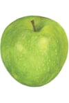 Granny Smith Elma Sirkesi / Apple Cider Vinegar (Doğal Fermente Canlı Sirke / Naturally Fermented / 500 Ml)