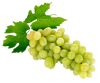 Hatay Hassa Üzümü Sirkesi / Grape Vinegar (Doğal Fermente Canlı Sirke / Nat. Ferm. / 500 mL)