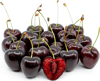 Lambert Kiraz Sirkesi / Cherry Vinegar (Doğal Fermente Canlı Sirke / Naturally Fermented / 500 Ml)