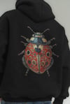 Ladybırd Nakış Oversize Hoodie Model
