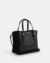 Coach Mollie Tote