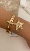 10697 Ajda Charm