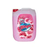 bingo-soft-5-lt-gul-pembe-76-5d4.jpg