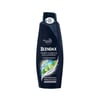 blendax-sampuan-500ml-men-kepege-karsi-c0-d69.jpg