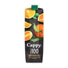 cappy-1-lt-100-portakal-suyu-19-8f0.jpg