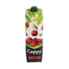 cappy-1-lt-visne-11cd02.jpg