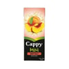 cappy-200ml-mini-kayisi-9b3-65.jpg