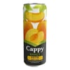 cappy-250ml-kutu-kayisi-98b38e.jpg