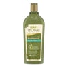 dalan-olive-sampuan-400ml-z-a0133f.jpg