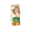 garnier-color-sac-boya-9-4970-b.jpg