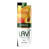 lavi-m-9e569e.jpg