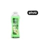 maxrosa-dus-jeli-750ml-moringa--0f468.jpg