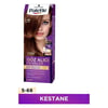 palette-icc-5-68-kestane-7601-7.jpg