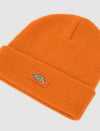Dickies Gibsland Bere