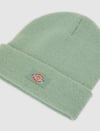 Dickies Gibsland Bere
