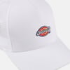 Dickies Hanston Trucker Beyaz Unisex Şapka