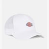 Dickies Hanston Trucker Beyaz Unisex Şapka