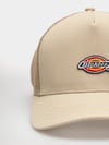 Dickies Hanston Trucker Şapka
