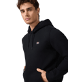 Dickies Oakport Hoodie