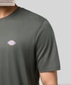 Dickies Ss Mapleton Tee