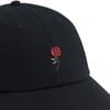 Vans Call It A Day Curved Bill Jockey Black