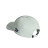 Vans Call It A Day Curved Bill Jockey Dusty Mint