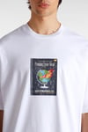 Vans Paperback Writer