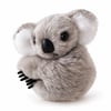 Koala Toka