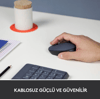 Logitech m170 mouse