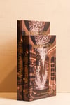 Maison Flore Kitap Kutu