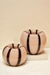 Yaz Home | 2'li Cam Somon Zebra Vazo