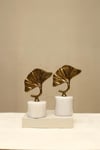 Yaz Home | 2'li Ginko Obje Eskitme
