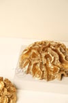 Yaz Home |  2'li Polyester Beyin Mercan Gold Renk