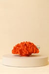 Yaz Home | Beyin Mercan Polyester Turuncu