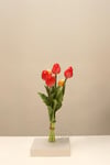 Yaz Home | Fuşya İthal Çiçek Lale
