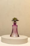Yaz Home | Mor Şişe Cam Çiçek Kapaklı