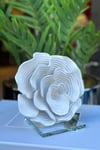 Yaz Home | Polyester Gül Mercan Obje - Beyaz
