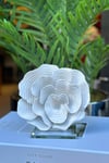 Yaz Home | Polyester Gül Mercan Obje - Beyaz